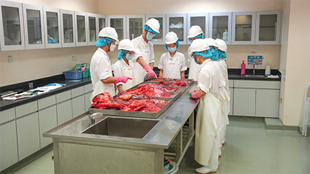 学员在上水屠房接受肉类检验技巧实习训练。