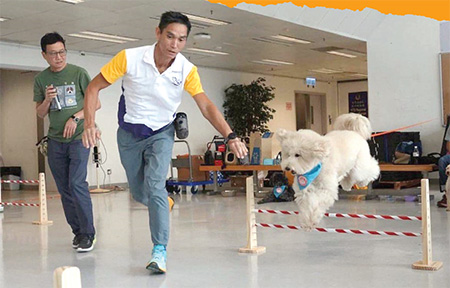 陳先生的愛犬Mochi獲邀參加「動物守護．社區大使」計劃並接受訓練，透過社區探訪活動，宣揚守護動物，尊重生命的精神。