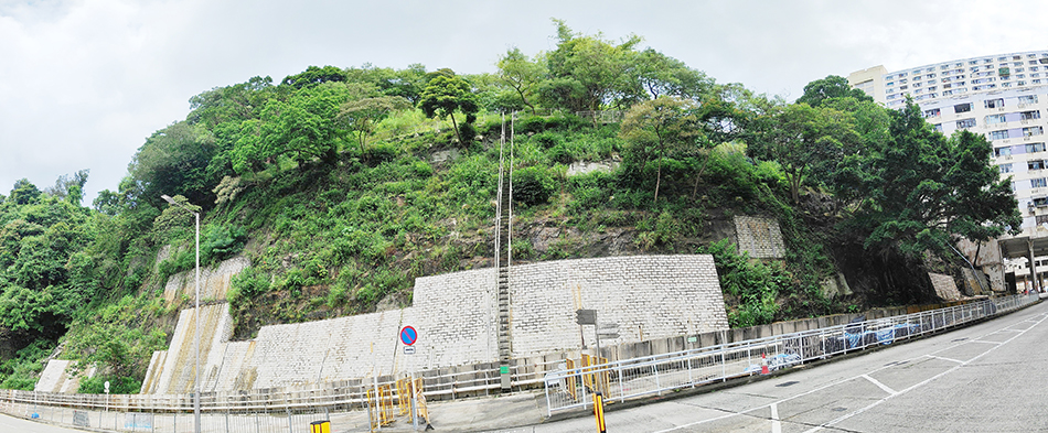 Slope upgrading works at Hing Wah (II) Estate.