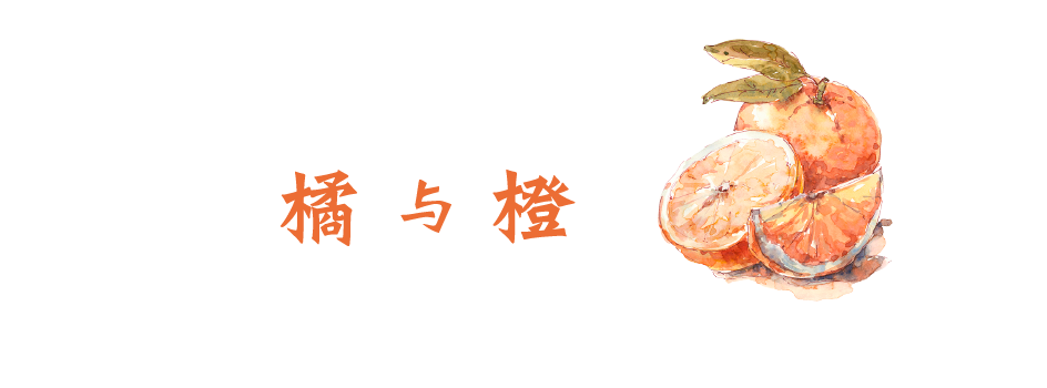 橘与橙